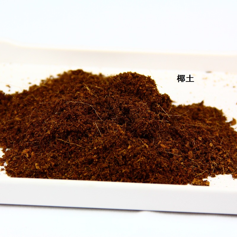 ดินมะพร้าวอัดก้อน วัสดุรองพื้น - Substrate Coconut Fiber บทวิจารณ์และราคา